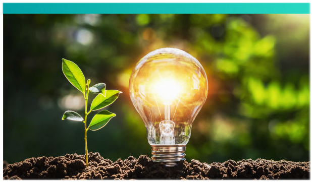 21st Century Library Series