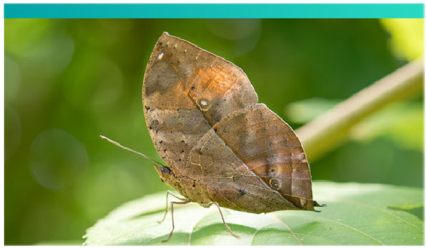 How Do We Live Together