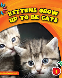 Kittens Grow Up To Be Cats