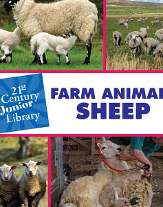 Farm Animals: Sheep