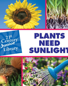 Plants Need Sunlight