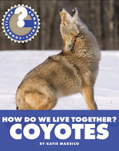 How Do We Live Together? Coyotes