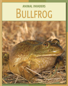 Bullfrog