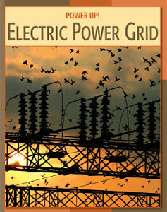 Electric Power Grid
