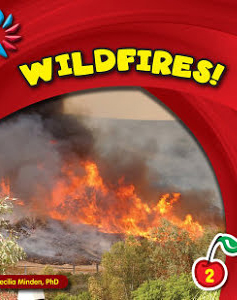 Wildfires