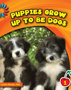 Puppies Grow Up To Be Dogs