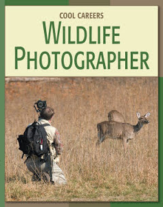 Wildlife Photographer