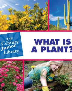 What Is A Plant?